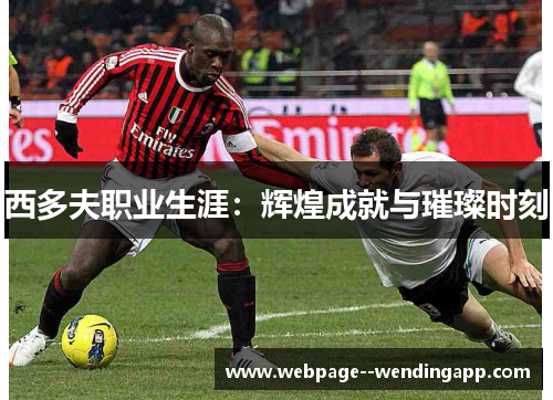 西多夫职业生涯:辉煌成就与璀璨时刻 西多夫职业生涯:辉煌成就与璀璨时刻