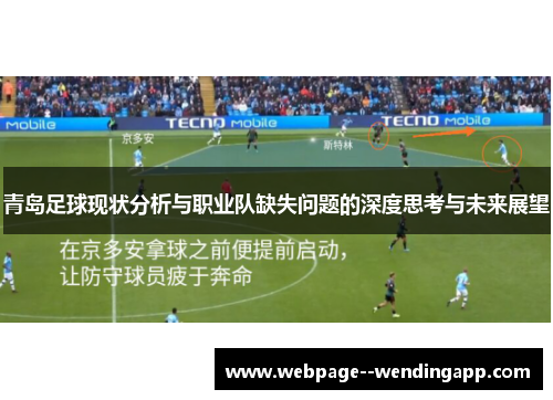 青岛足球现状分析与职业队缺失问题的深度思考与未来展望